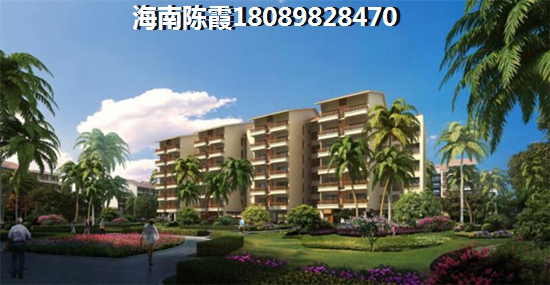 东方花梨湾户型图怎么看？