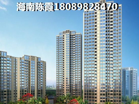 海南全域XG政策