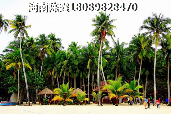 八所楼盘优势分析