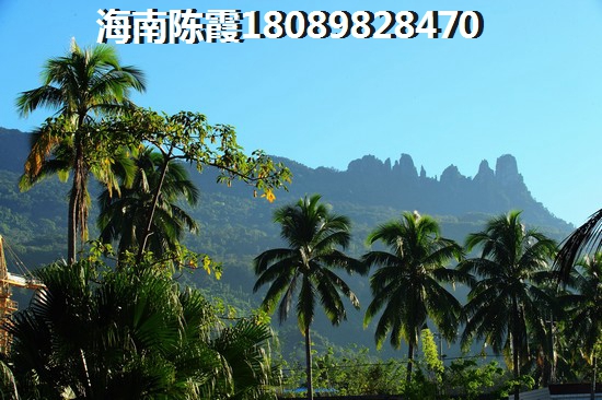 口碑好的东方市海景房是哪个项目？
