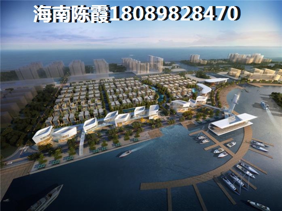 未来海南东方醉有发展前景的地方3