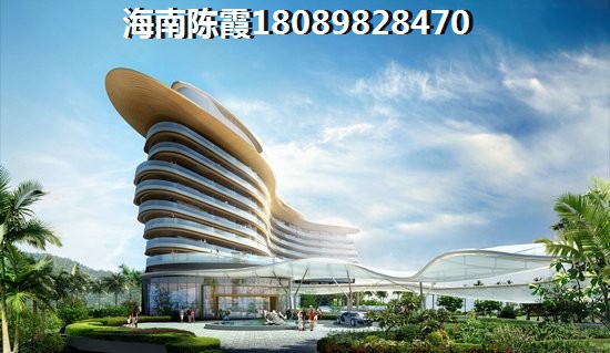 海南八所潮湿是真的吗？