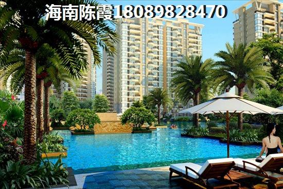 东方山海湾为什么倍受候鸟追捧？