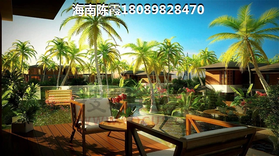 峨眉山九岭岗生态猴区 峨眉山九岭岗生态猴区