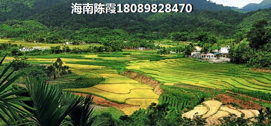 美鸟日记动漫在哪个软件看