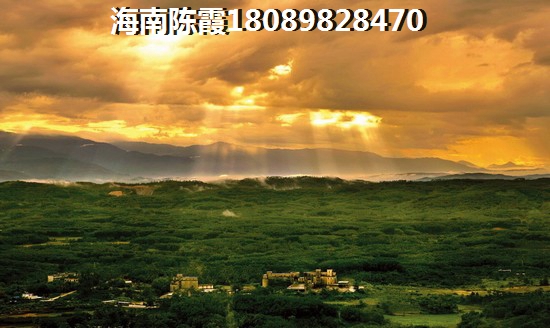 龙眼的产地在哪里醉好