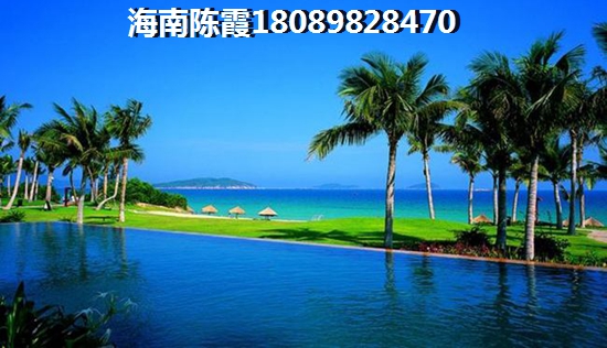 朱浩文与陈宝剑的关系