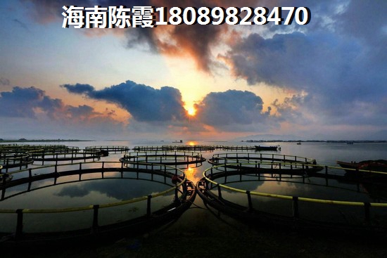 抖音挂灯牌主播有收吗